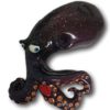 Custom Bernie Octopus Art - Image 9