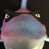Big Rita Shark Bust