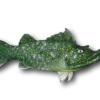 Criffster Fish with Attitude - Image 2