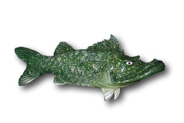 Criffster Fish with Attitude - Image 2