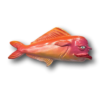 Bright Crusty Rusty Fish With Attitude - Image 2