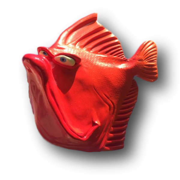 Zekey-Boy Fish with Attitude
