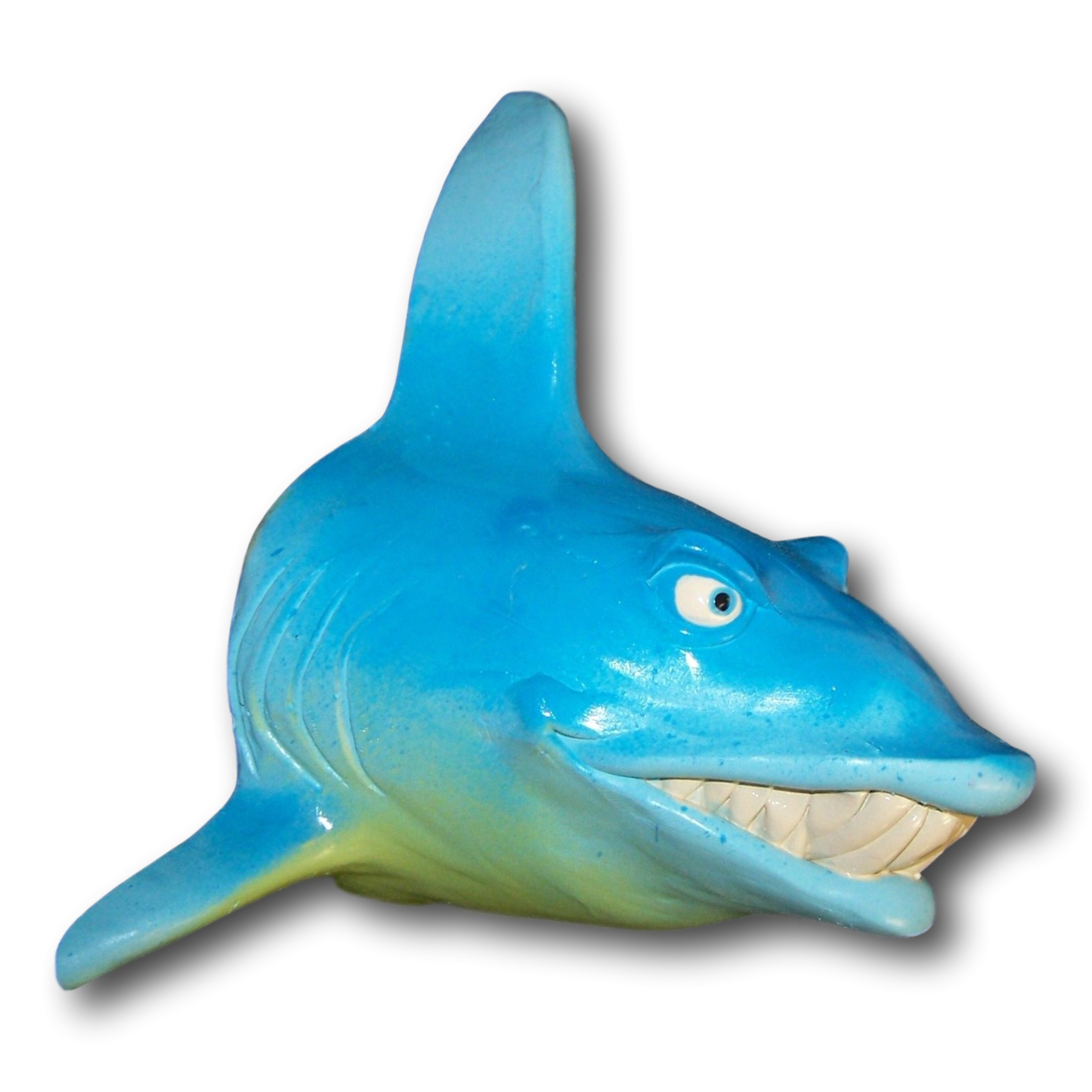 Big Rita Shark Bust