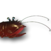 Crawfish Fish With Attitude