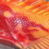 Custom Uncle Charles Fish - Image 6