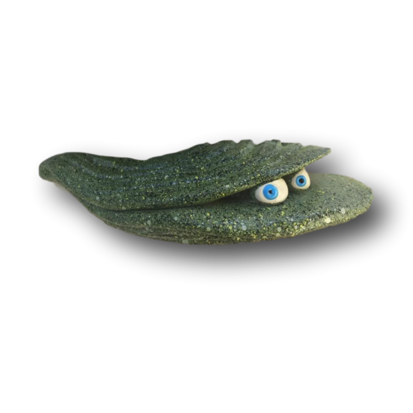 Cassidy Oyster - Fish with Attitude