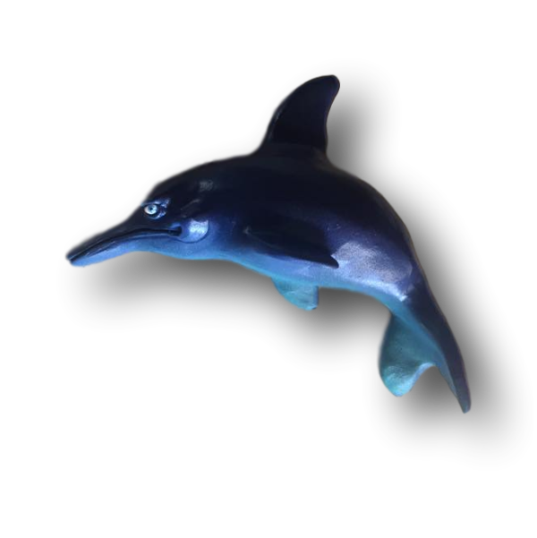 Danny Boy Dolphin - Fish With Attitude