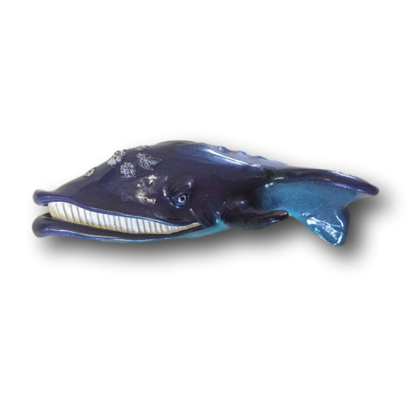 Blue Marsha Whale - Fish with Attitude