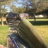 Laid-Back Larry Pelican - Creatures with Attitude - Image 2