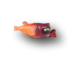 Purple & Orange Mrs. Robinson Fish with Attitude - Image 2