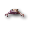 Don Juan Frog Art - Mike Quinn