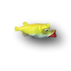 Lime Mrs. Robinson Fish with Attitude - Image 2