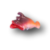Red Lips Willy - Fish with Attitude - Image 2