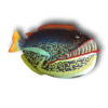 Monster Fish - Fish with Attitude
