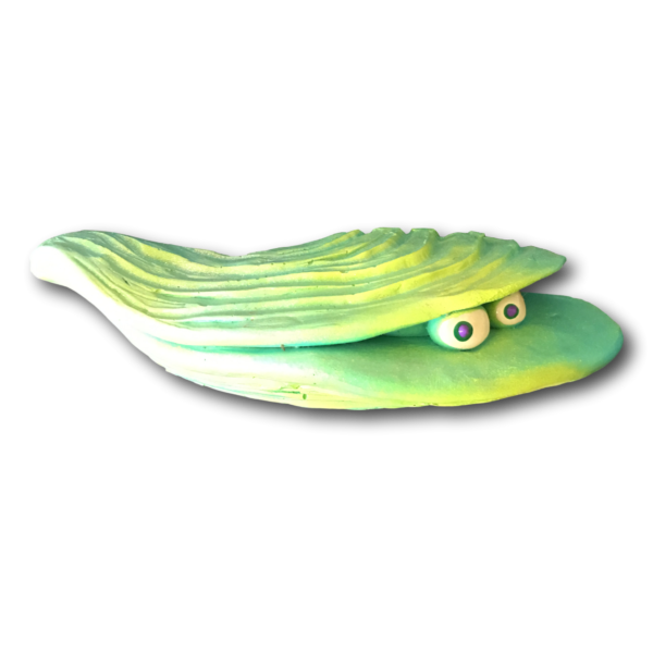 Lime Green Cassidy Oyster - Fish with Attitude