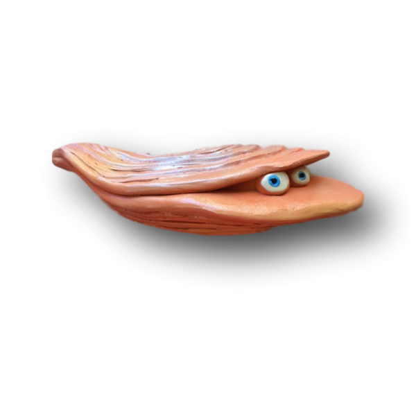 Snazzy Cassidy Oyster - Fish with Attitude