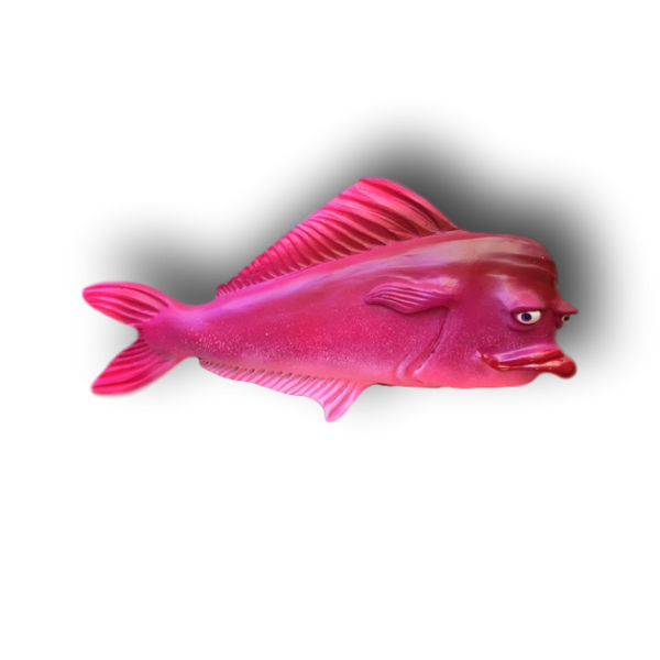 Pretty Pink Crusty Rusty Fish With Attitude