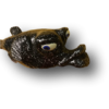 Speckled Mrs. Robinson Fish with Attitude