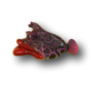 Patterned Red Lips Willy - Fish with Attitude - Image 2