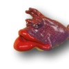 Purple Red Lips Willy - Fish with Attitude