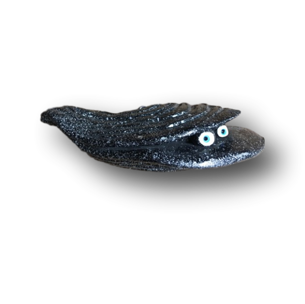 Speckled Cassidy Oyster - Fish with Attitude