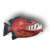 Large Toothy Red Fish Luis