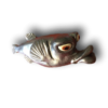 Grey Mrs. Robinson Fish with Attitude