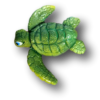 Little Ricky Sea Turtle Green- Mike Quinn