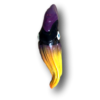 Ricky Bobby Purple Yellow Squid Wall Art