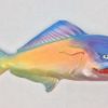 Crusty Rusty Fish With Attitude - Image 2