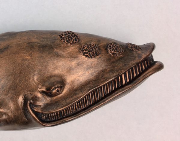 Dale the Whale - Fish with Attitude
