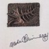 Primo Fish Fossil