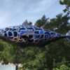 Midnight Monte-6ft long Tuna
