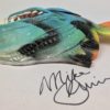 Phineas McFlea -Toothy Fish - Image 3