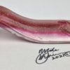 Mighty Mike Eel - Fish with Attitude - Image 4