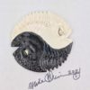 Ying Yang - Fish With Attitude