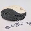 Ying Yang - Fish With Attitude - Image 3