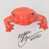 Bitcoin Bob - Frog Wall Art -with glass eyes