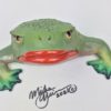 Bitcoin Bob - Frog Wall Art -with glass eyes