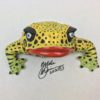 Bitcoin Bob - Frog Wall Art - With Pattern