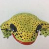 Bitcoin Bob - Frog Wall Art - With Pattern - Image 5
