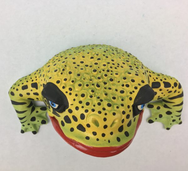 Bitcoin Bob - Frog Wall Art - With Pattern - Image 5