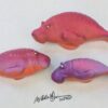 The Snooty Family - Fish With Attitude - Manatee - Image 4