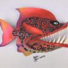 Hungry Molly - Toothy Fish