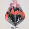 Wild Oscar Stingray - Fish with Attitude - Image 3