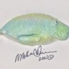 Momma Snooty - Fish With Attitude - Manatee