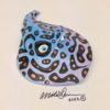 Grumpy Bill - Sting Ray - Fish with Attitude - Image 3
