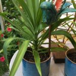 Venus Fly Trap - Artist Mike Quinn - Image 4