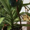 Venus Fly Trap - Artist Mike Quinn - Image 2