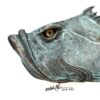 Billy Jack - Fish With Attitude
